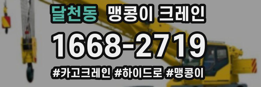달천동 맹콩이 크레인