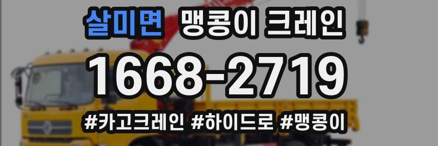 살미면 맹콩이 크레인