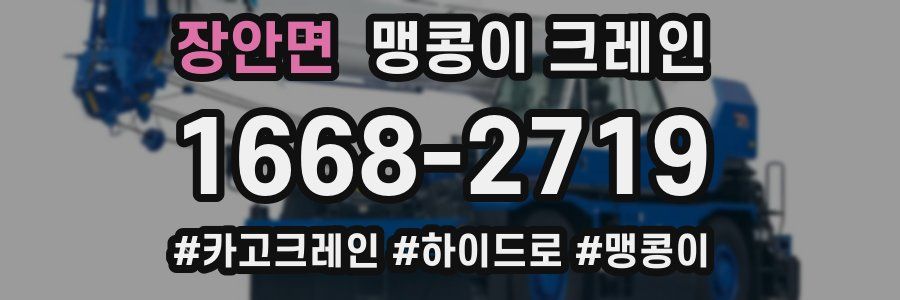 장안면 맹콩이 크레인