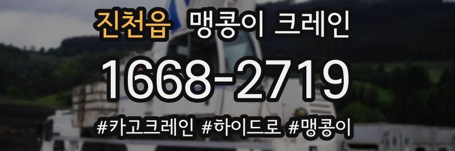 진천읍 맹콩이 크레인