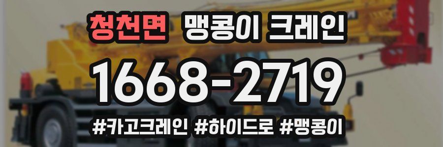 청천면 맹콩이 크레인