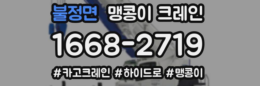 불정면 맹콩이 크레인