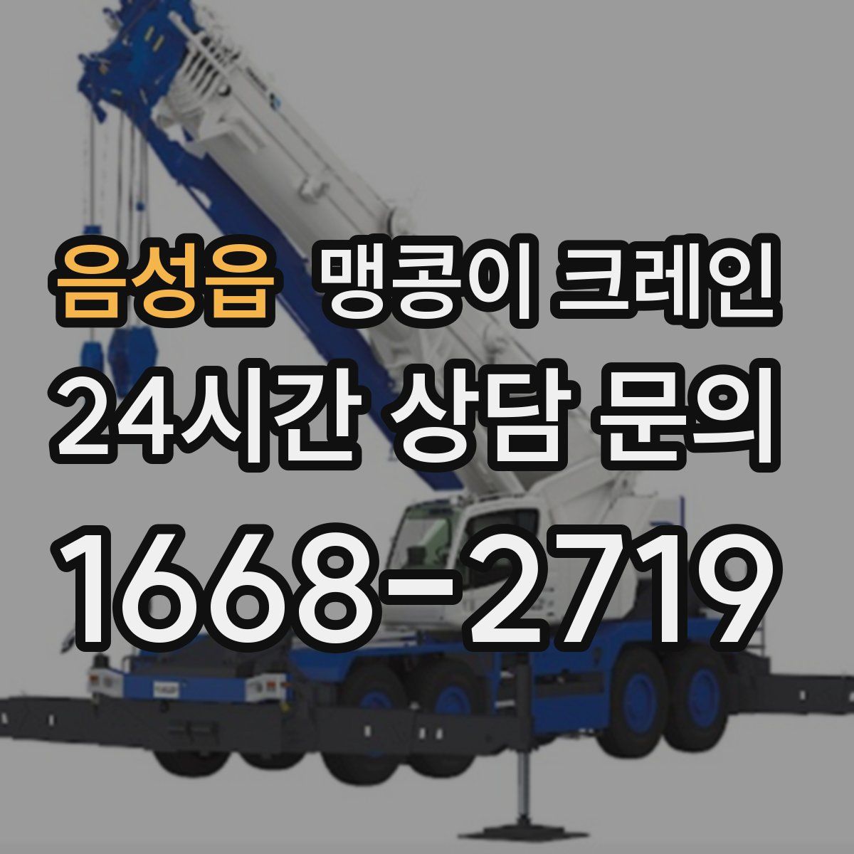 음성읍 맹콩이 크레인