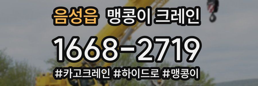 음성읍 맹콩이 크레인