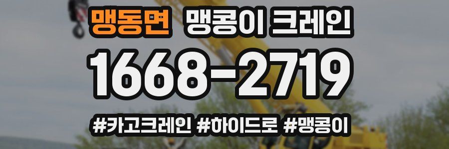 맹동면 맹콩이 크레인
