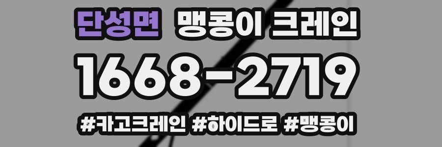 단성면 맹콩이 크레인