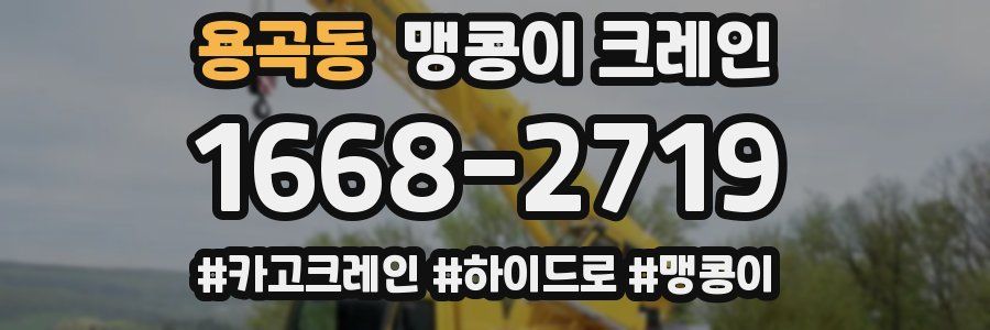 용곡동 맹콩이 크레인
