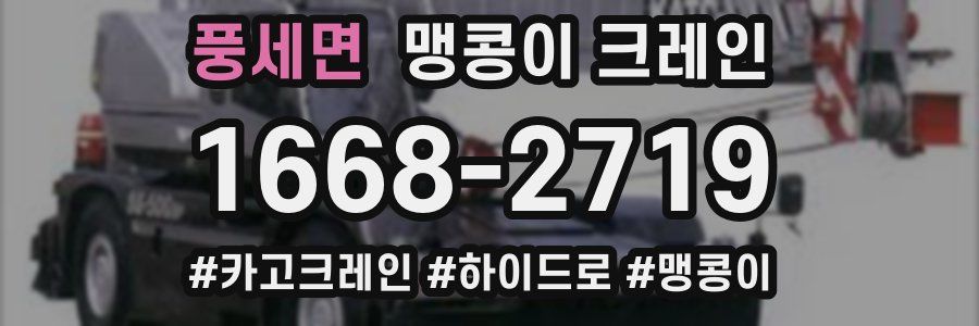 풍세면 맹콩이 크레인