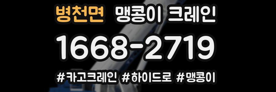 병천면 맹콩이 크레인