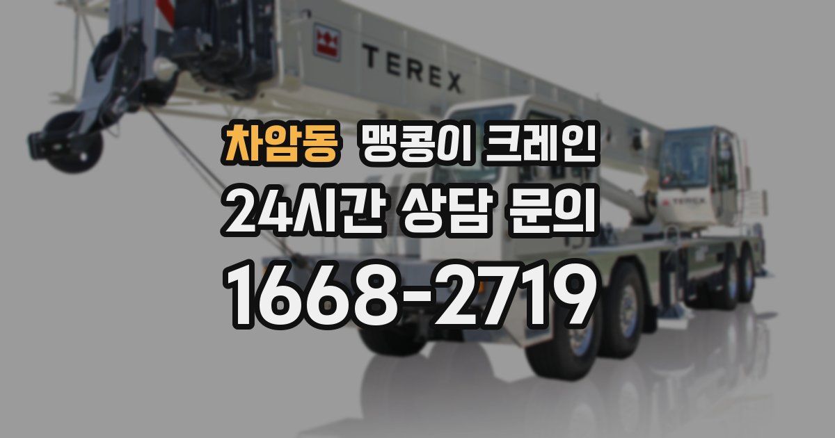 차암동 맹콩이 크레인