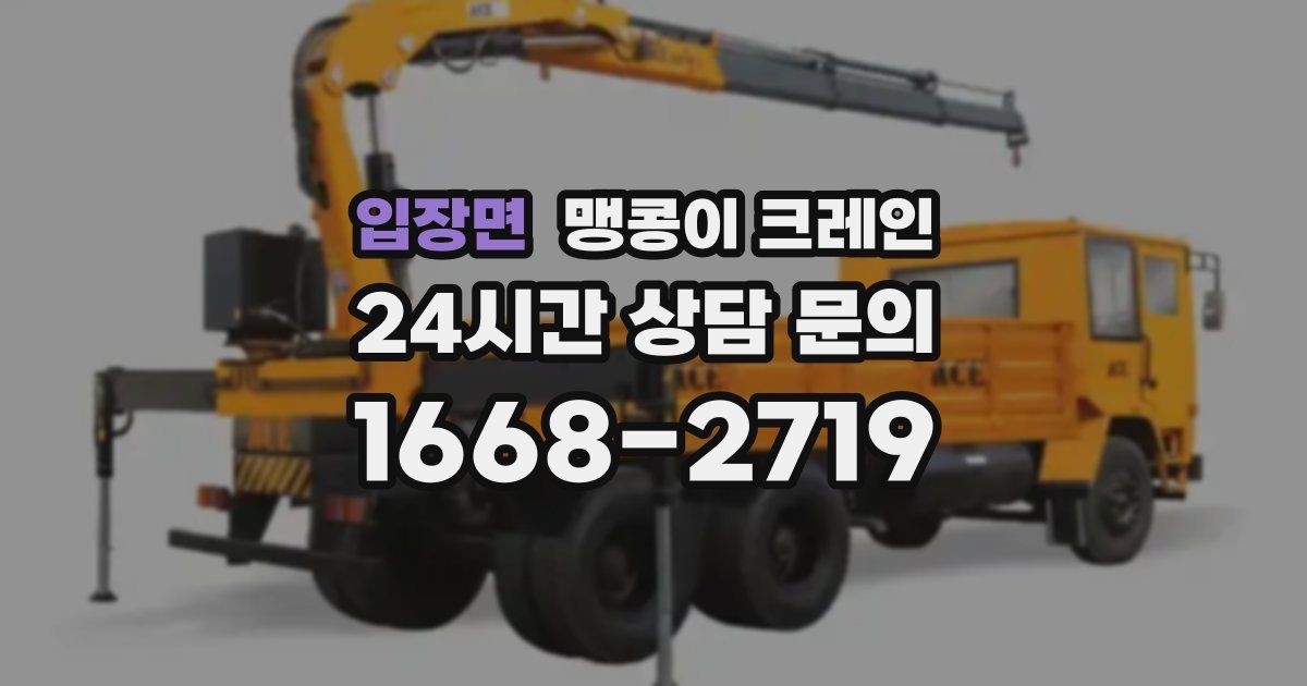 입장면 맹콩이 크레인