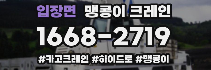 입장면 맹콩이 크레인