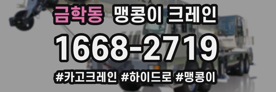 금학동 맹콩이 크레인