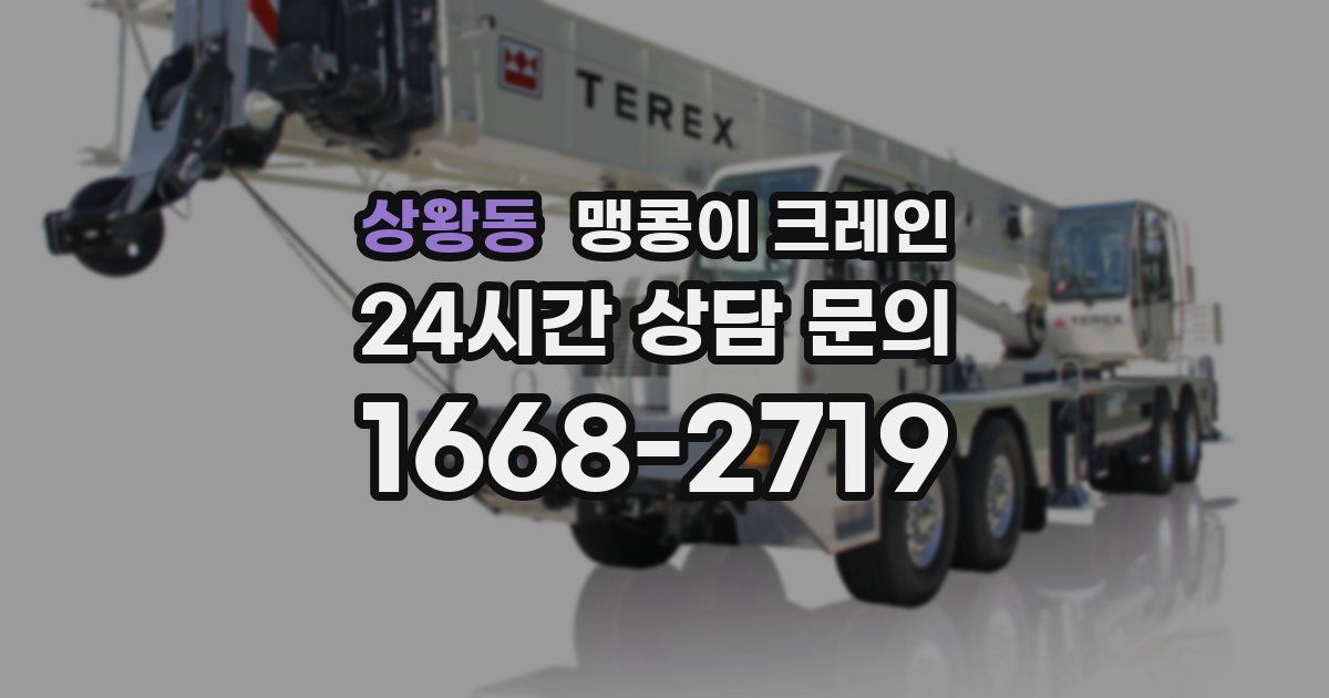 상왕동 맹콩이 크레인