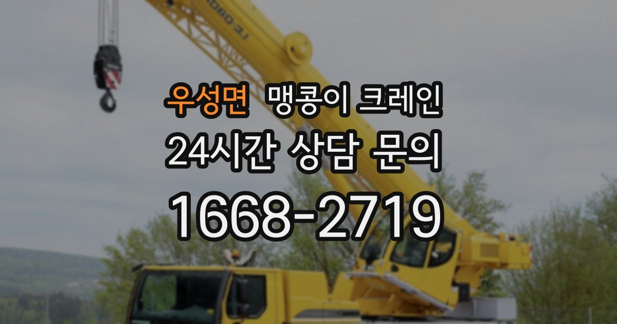 우성면 맹콩이 크레인