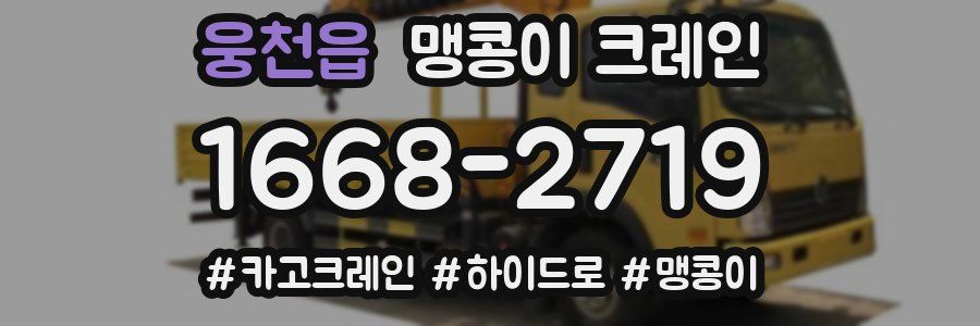 웅천읍 맹콩이 크레인