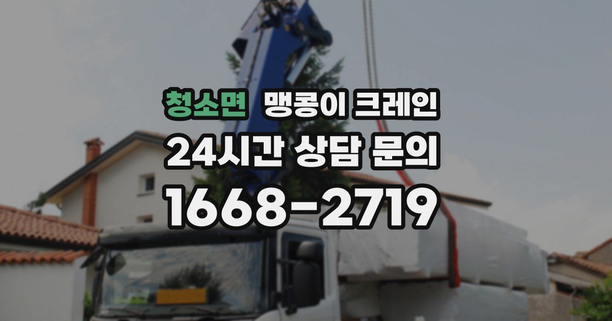 청소면 맹콩이 크레인