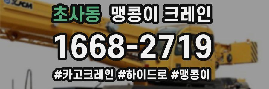 초사동 맹콩이 크레인