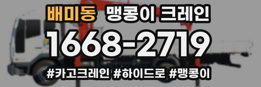 배미동 맹콩이 크레인