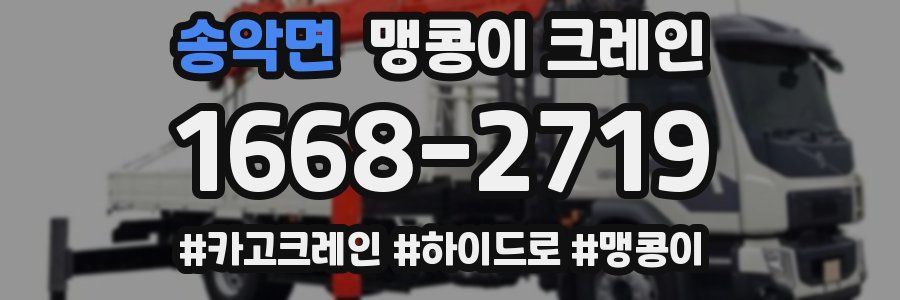 송악면 맹콩이 크레인