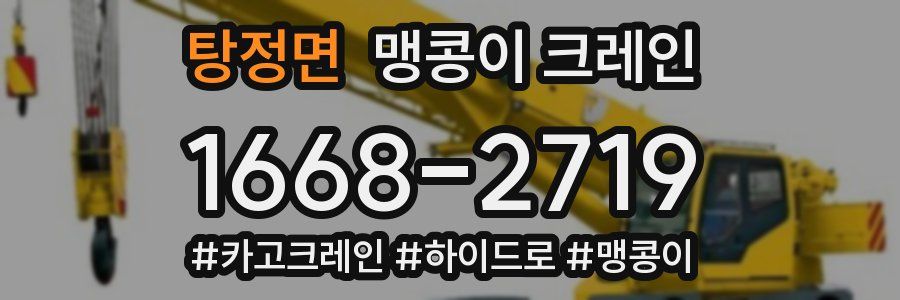탕정면 맹콩이 크레인