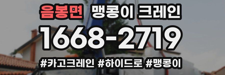 음봉면 맹콩이 크레인