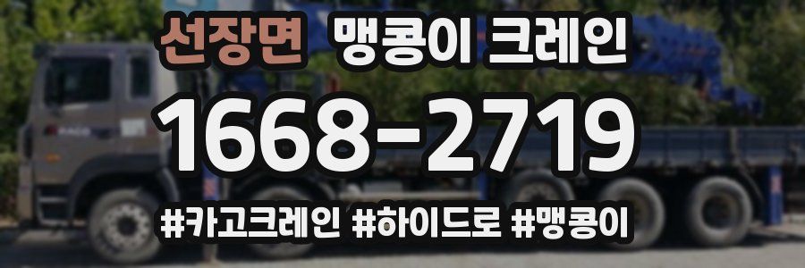 선장면 맹콩이 크레인