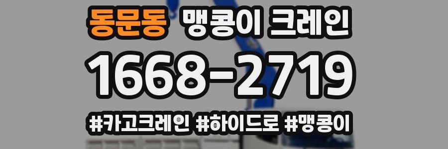동문동 맹콩이 크레인