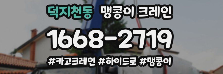 덕지천동 맹콩이 크레인