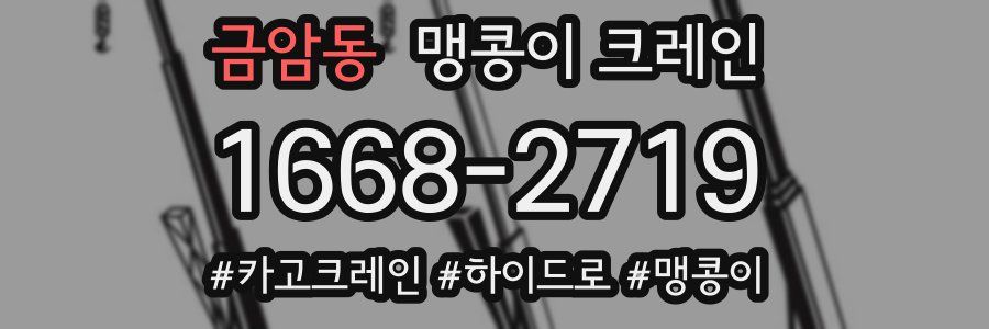 금암동 맹콩이 크레인
