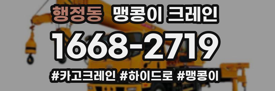행정동 맹콩이 크레인