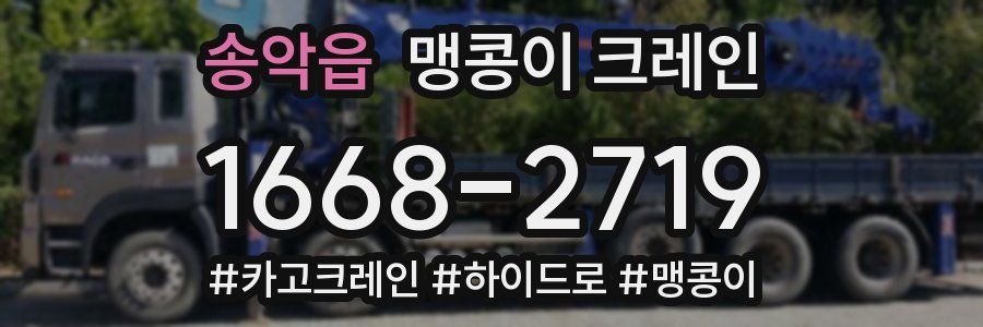 송악읍 맹콩이 크레인