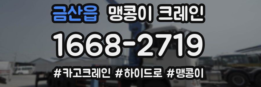 금산읍 맹콩이 크레인