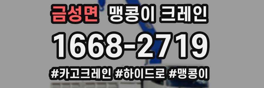 금성면 맹콩이 크레인