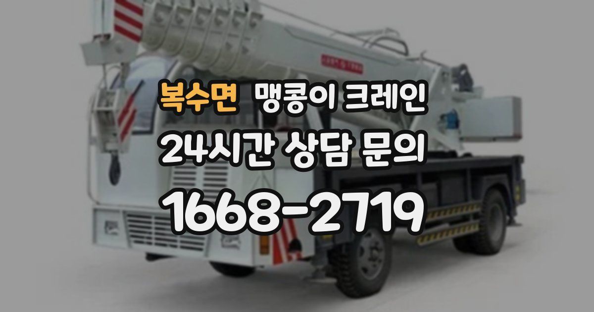 복수면 맹콩이 크레인