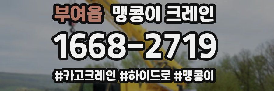 부여읍 맹콩이 크레인