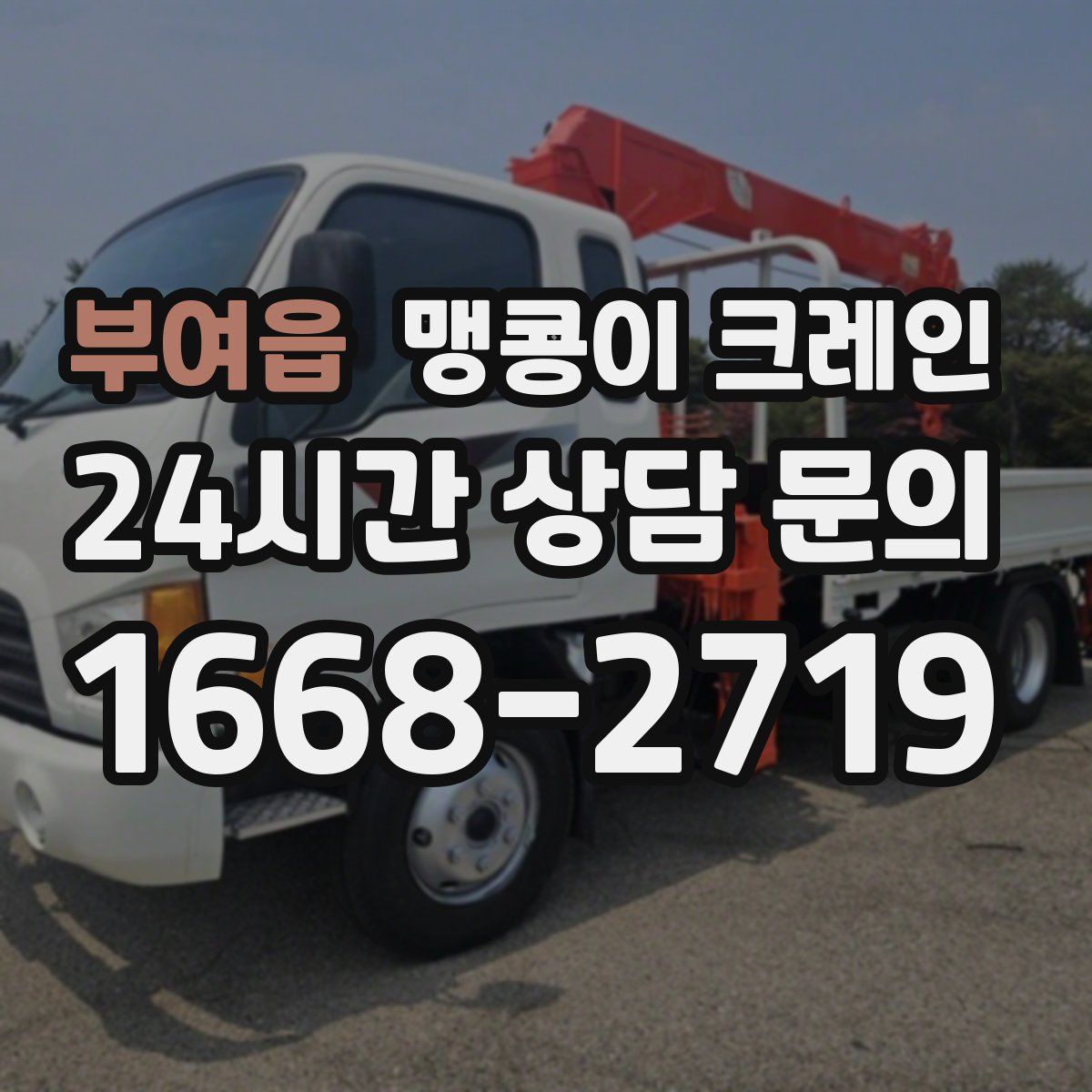 부여읍 맹콩이 크레인