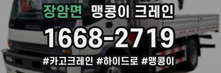 장암면 맹콩이 크레인