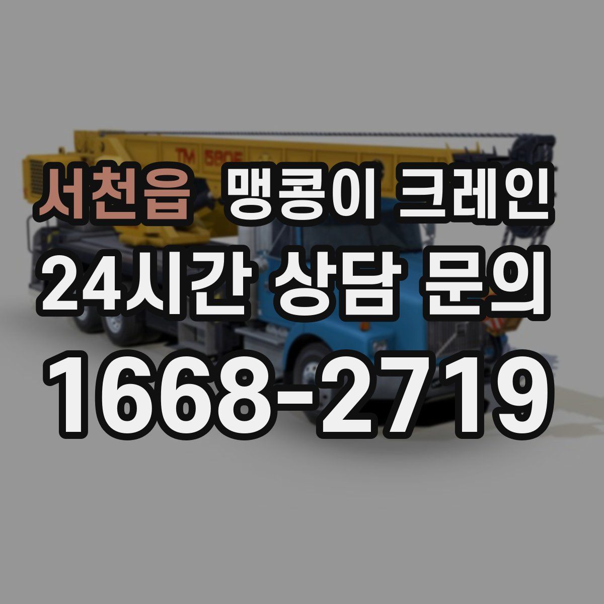 서천읍 맹콩이 크레인