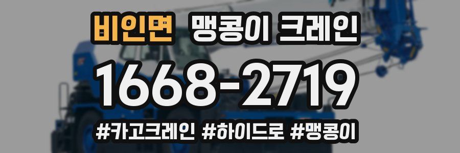 비인면 맹콩이 크레인