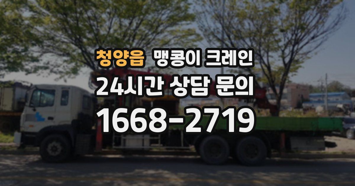 청양읍 맹콩이 크레인