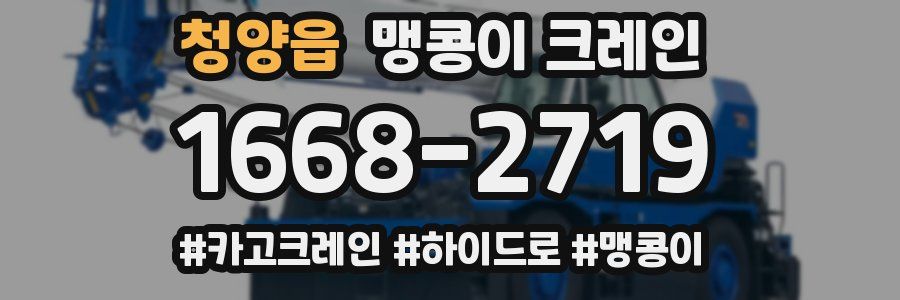 청양읍 맹콩이 크레인