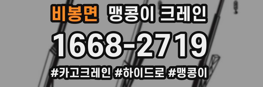 비봉면 맹콩이 크레인