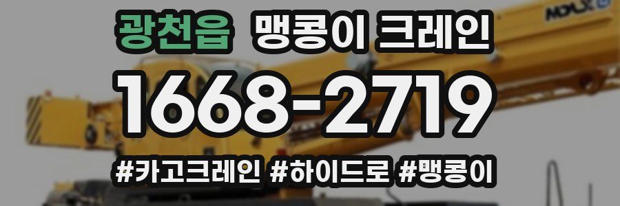 광천읍 맹콩이 크레인