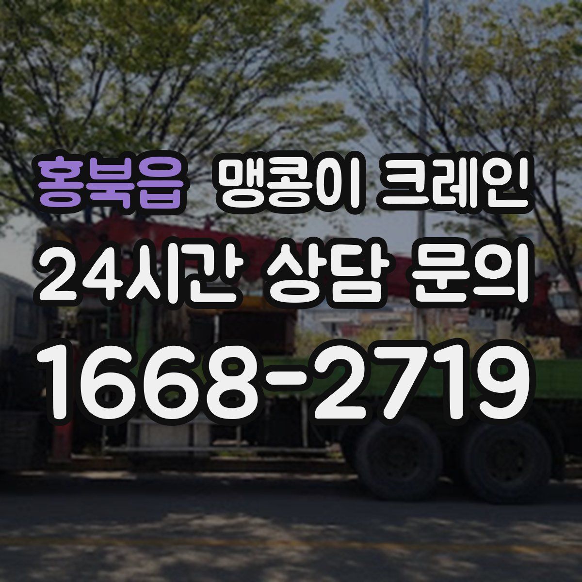 홍북읍 맹콩이 크레인