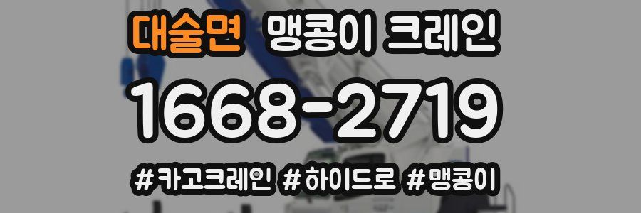 대술면 맹콩이 크레인