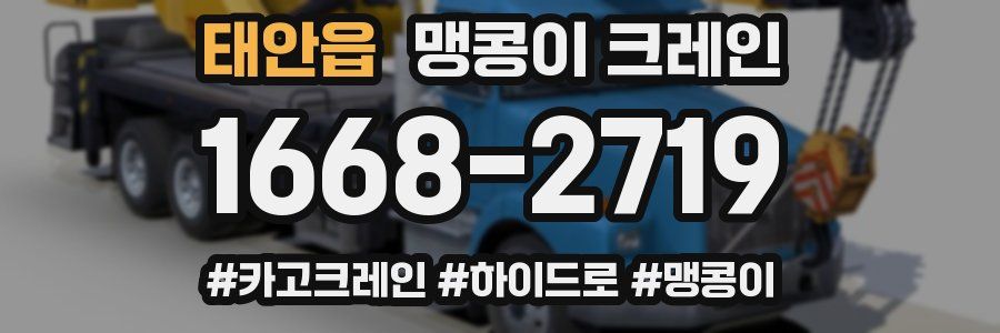 태안읍 맹콩이 크레인