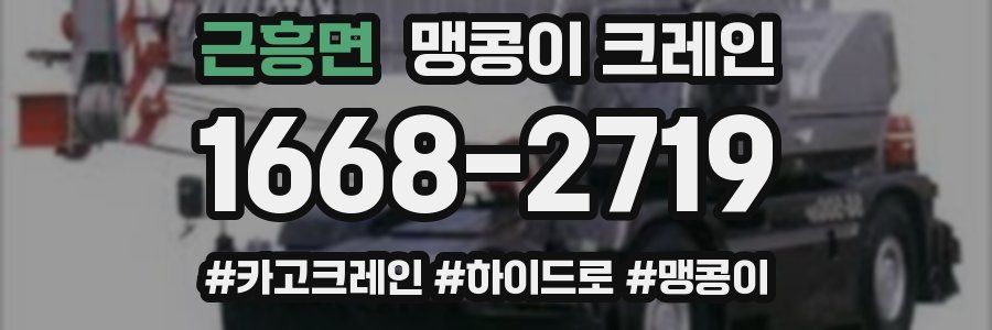 근흥면 맹콩이 크레인