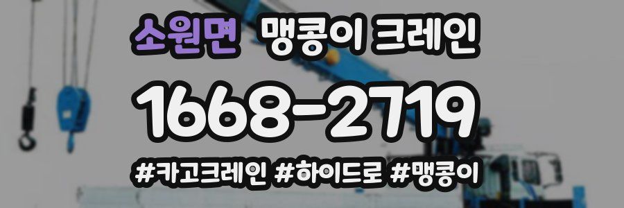 소원면 맹콩이 크레인