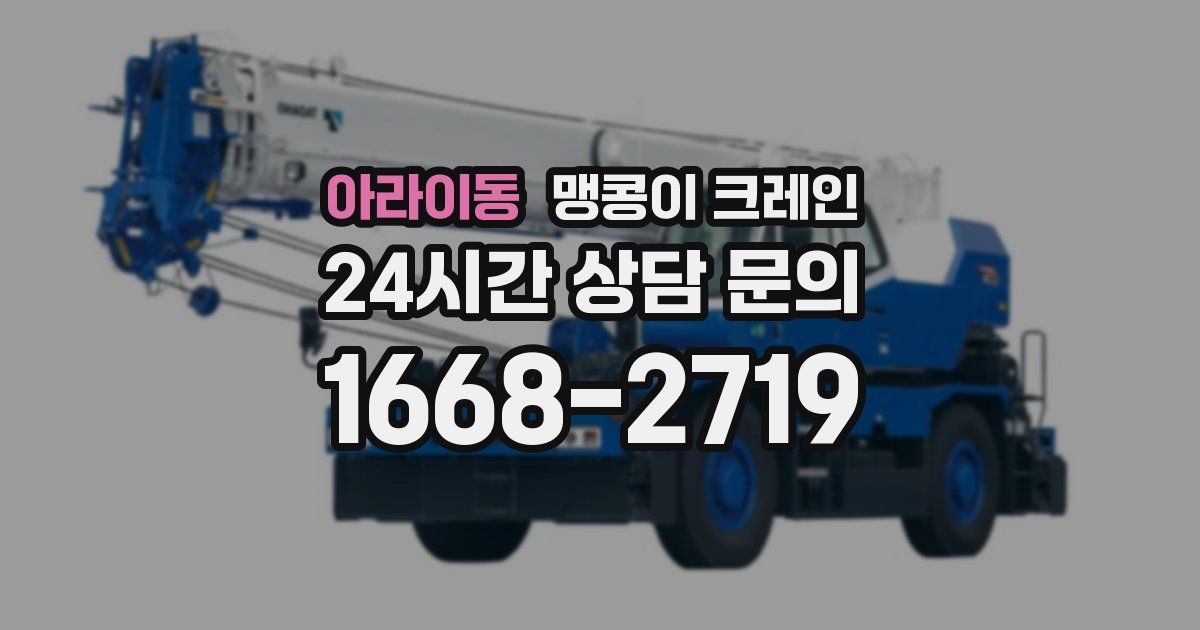 아라이동 맹콩이 크레인
